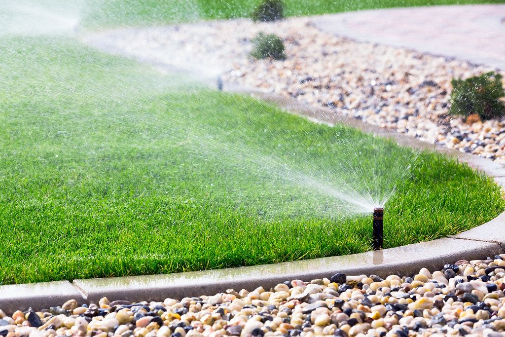 Pop-up sprinklers watering overlapping zones of a lawn