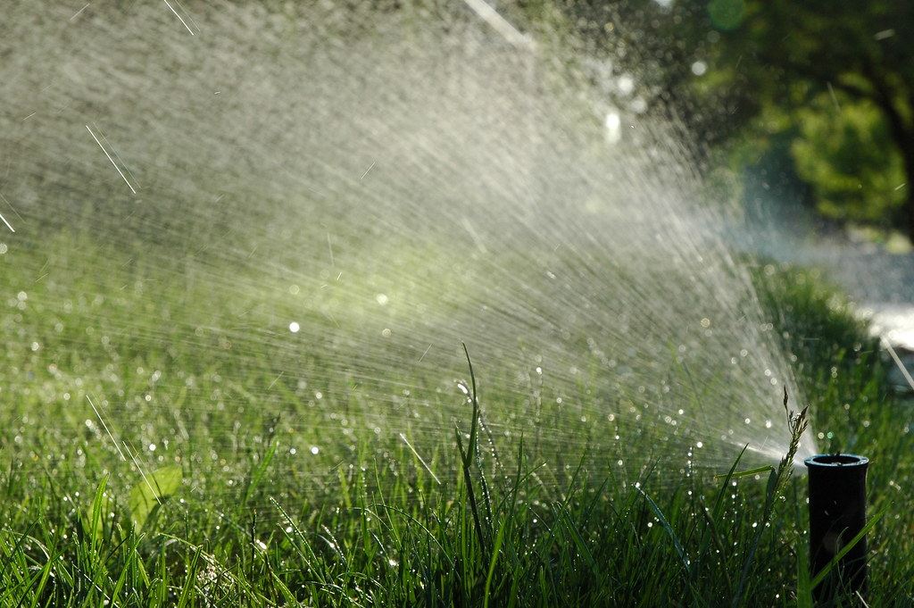 An in-ground sprinkler head watering a green lawn