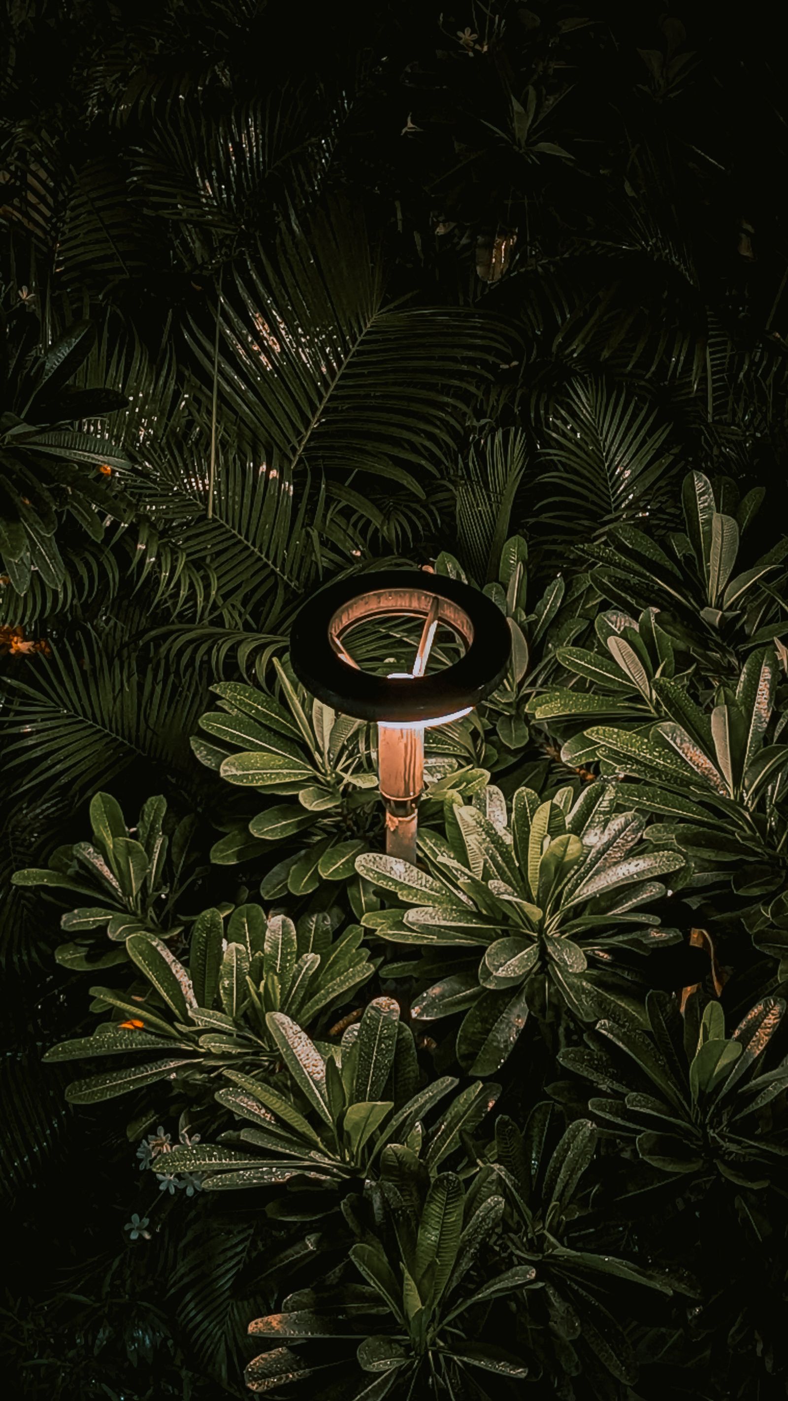 Garden light at night