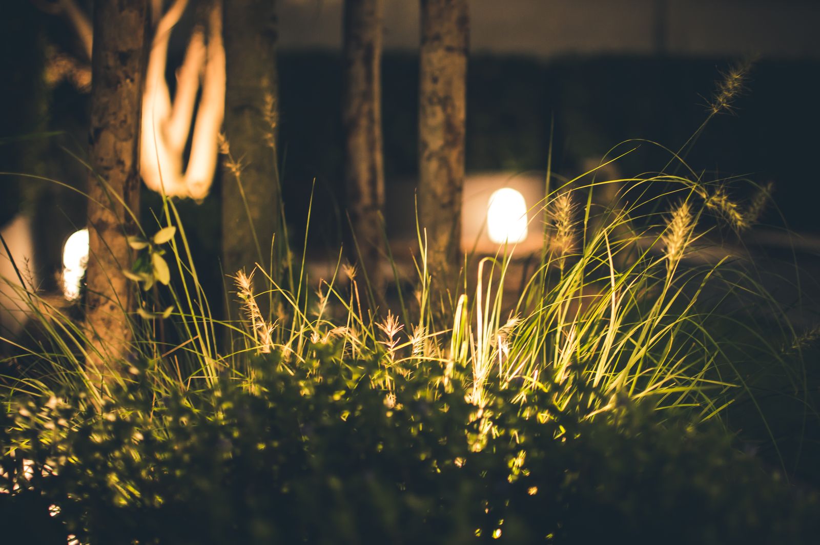 Twilight Garden Walk