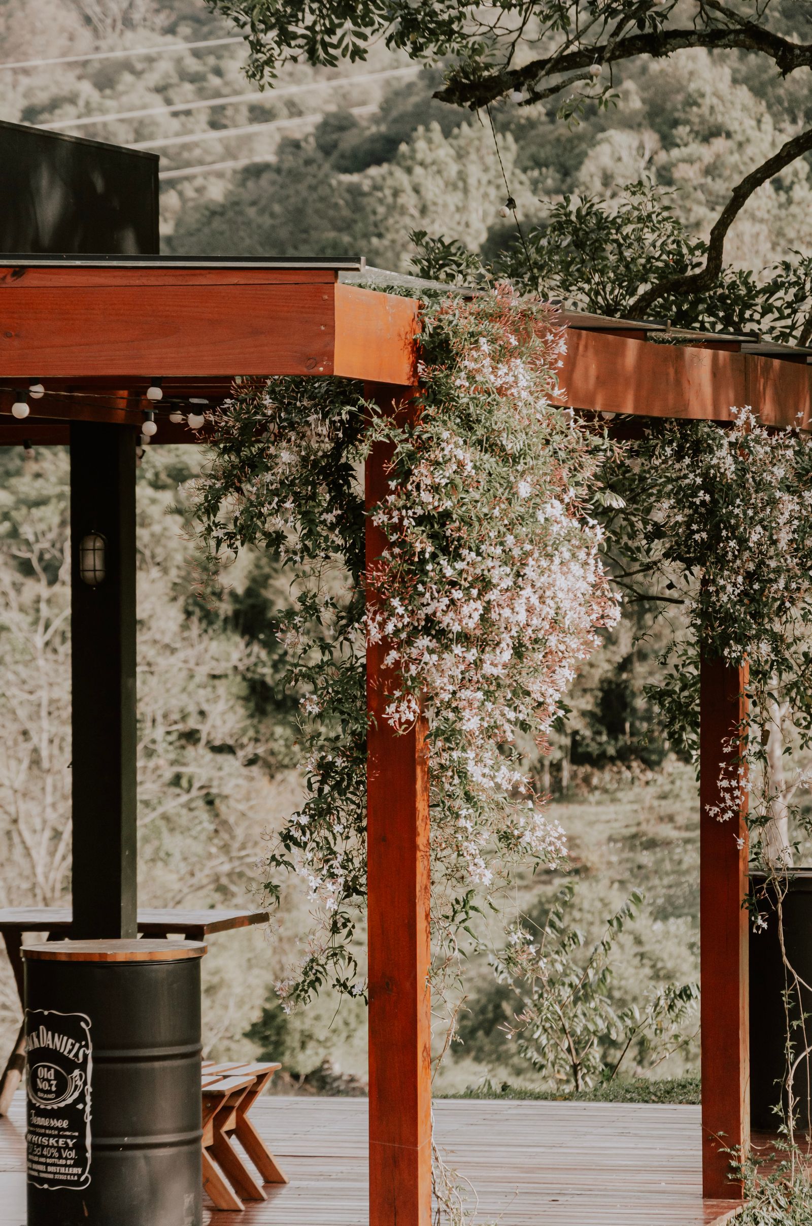 Pergola covered in blooming vines