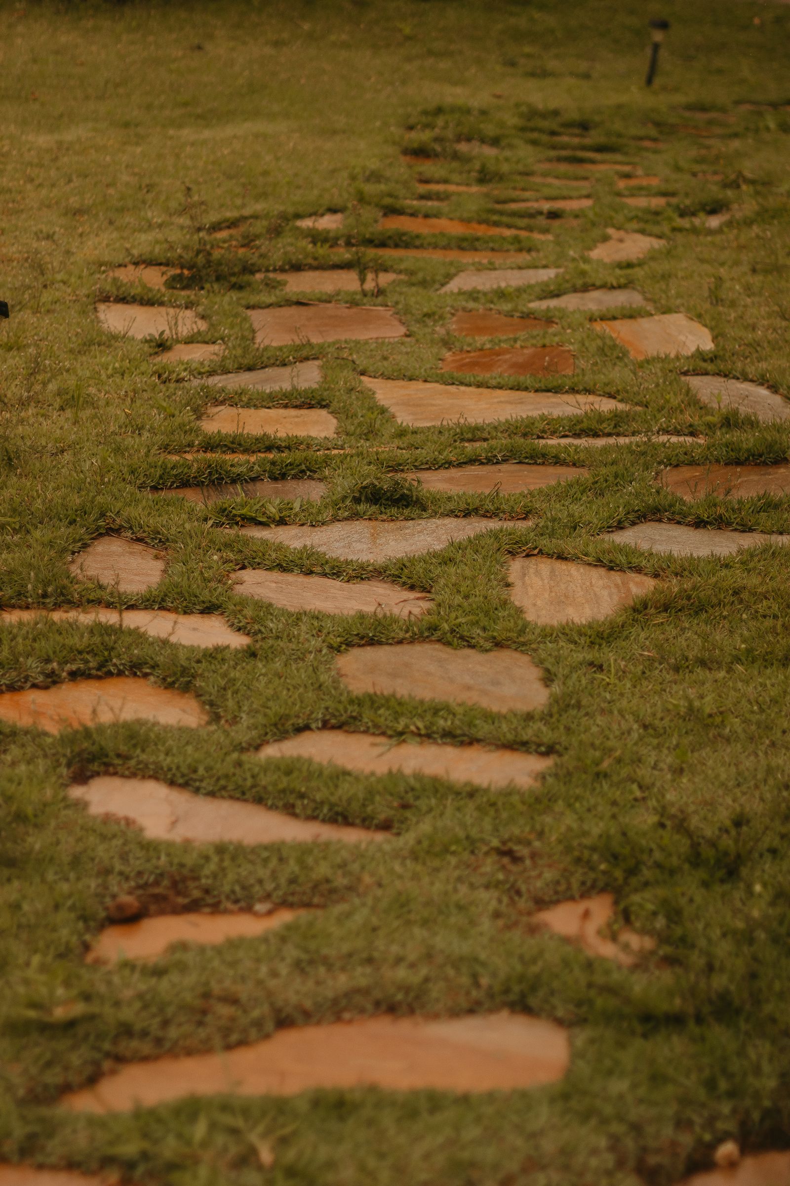Stone pathway set into a green lawn