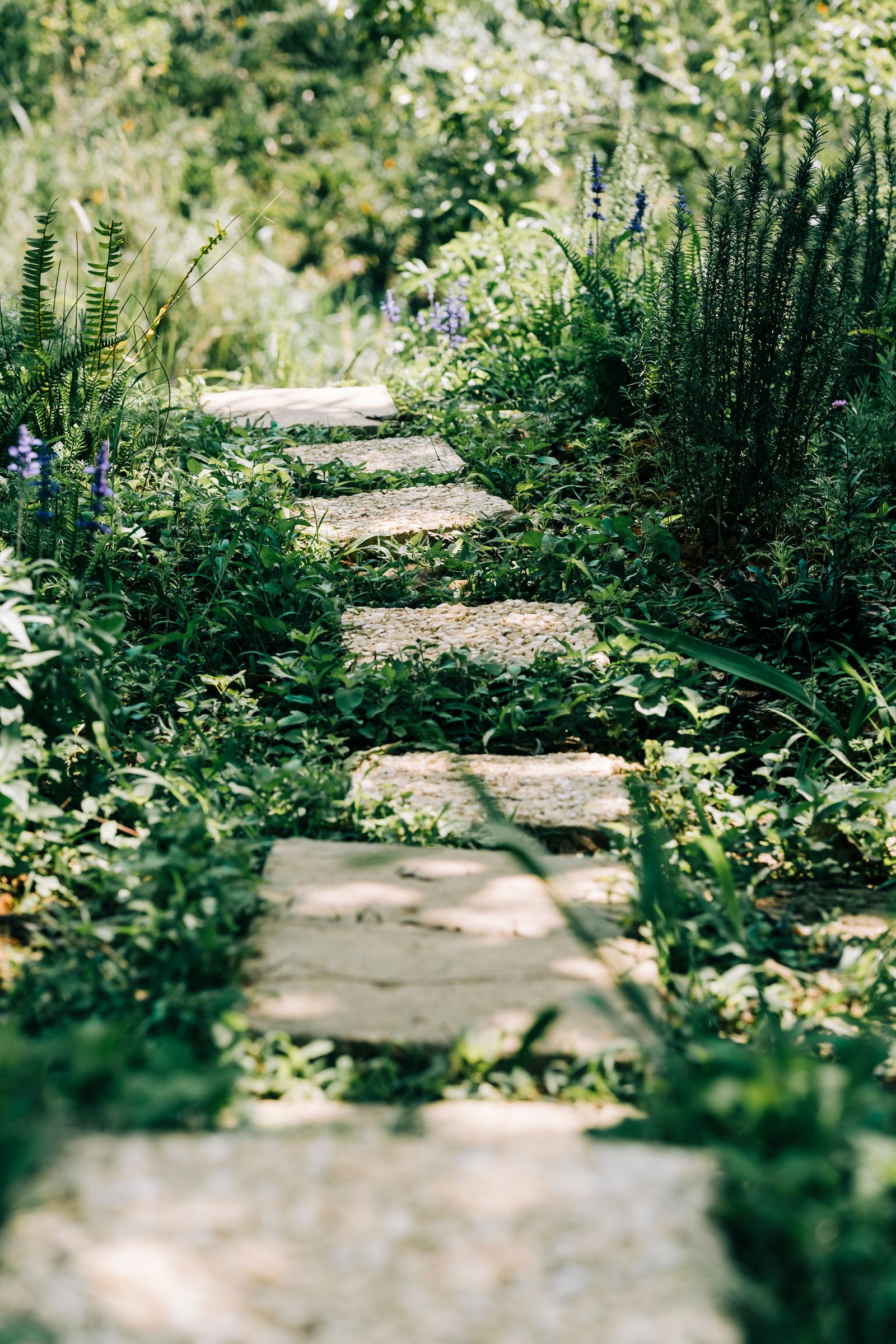 Pollinator Path Garden