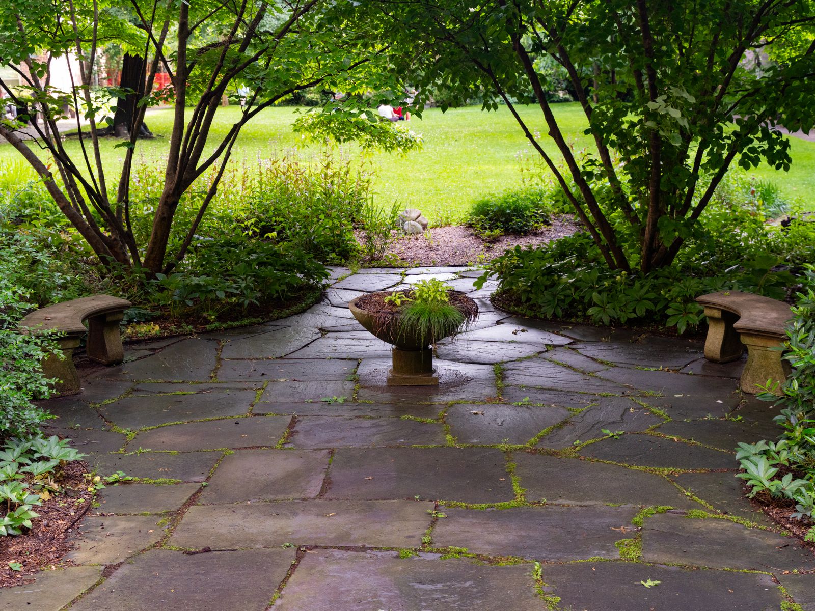 Stone patio surrounded by greenery