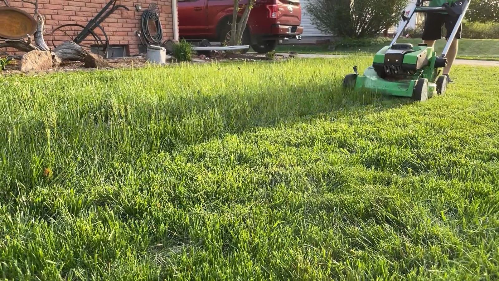 A lawn mower cutting grass in a residential front yard, a string trimmer cutting weeds along a garden bed, and a hedge trimmer shaping a hedge &mdash; the three jobs Buzzcut runs every week.