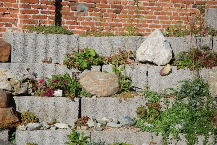 Retaining wall of stacked stone blocks with plants growing between the courses