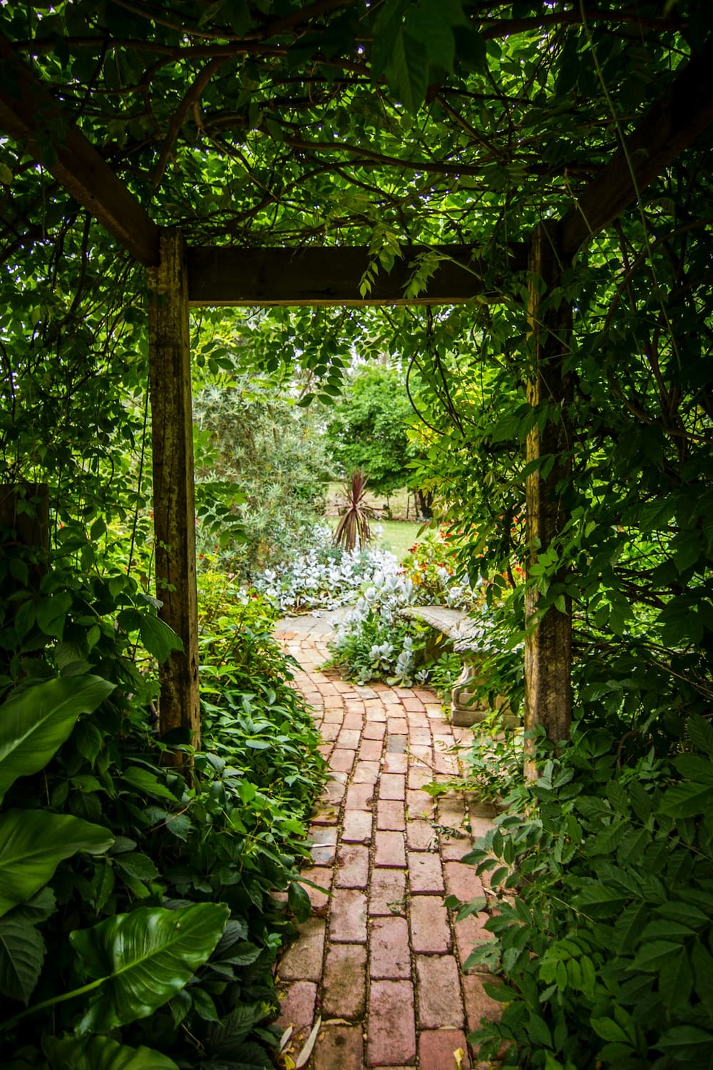 Brick path running under a planted garden arbour