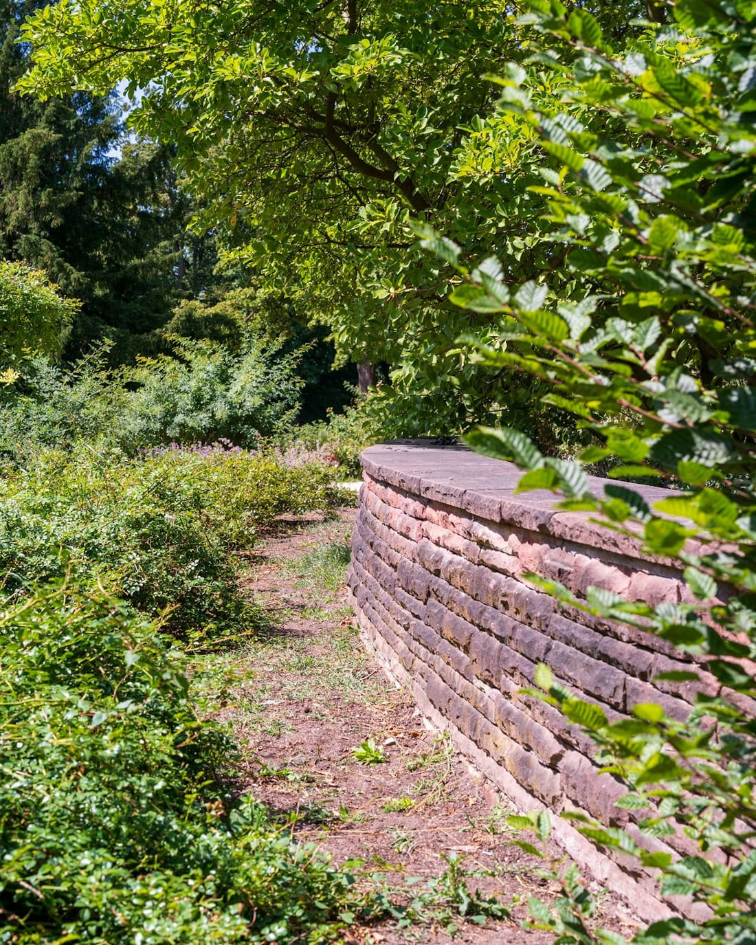 Curved block retaining wall running through planting