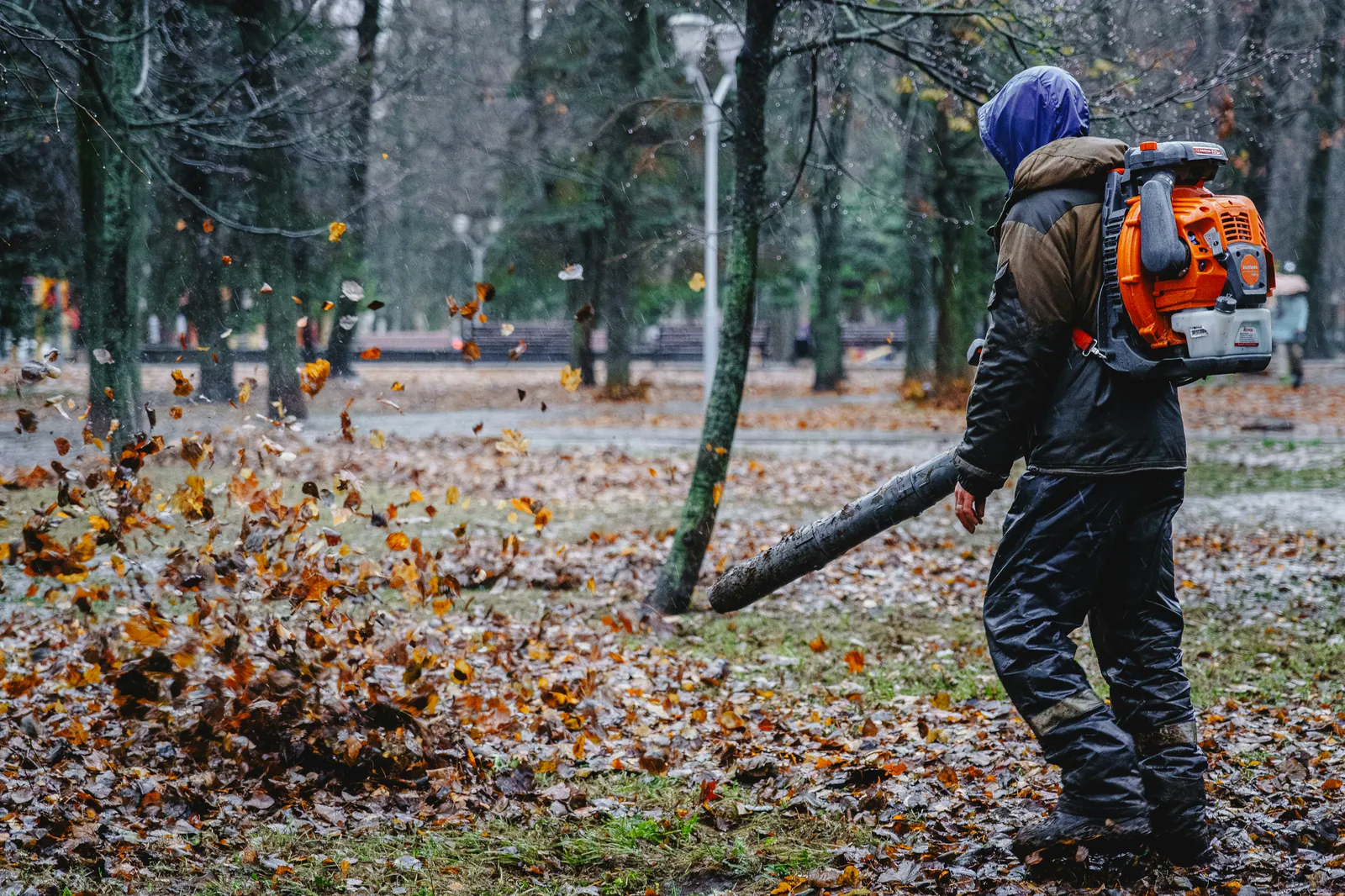 Worker using a leaf blower to clear a yard full of fall leaves