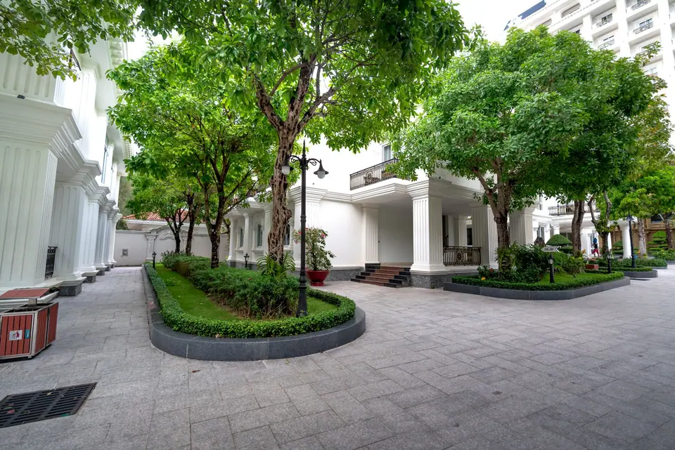 Clipped shrub island and shade trees in a paved courtyard