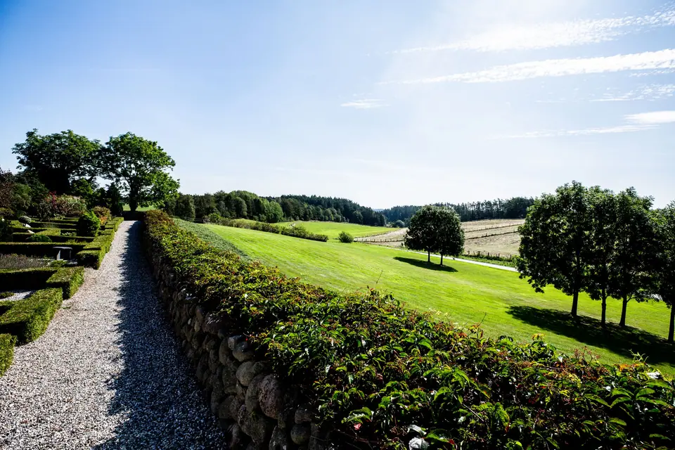 Long clipped hedge running beside a gravel path and open lawn